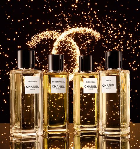 les différents parfums chanel|chanel perfume official website.